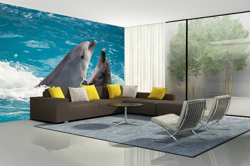 Vlies Fototapete - Zwei Delfine 375 x 250 cm